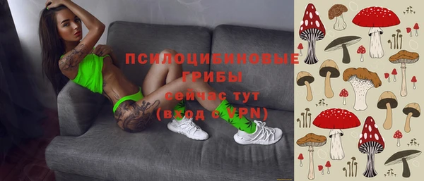 apvp Аркадак