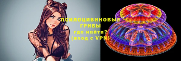 apvp Аркадак