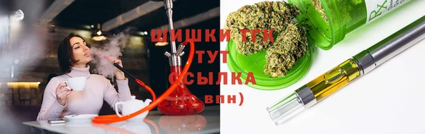 твердый Арсеньев