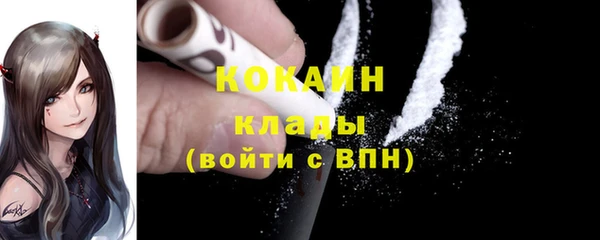 твердый Арсеньев