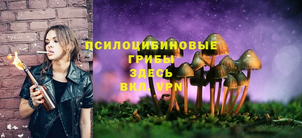 прущий лед Армянск