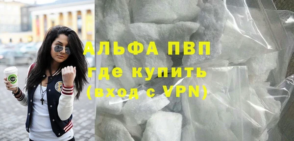 твердый Арсеньев
